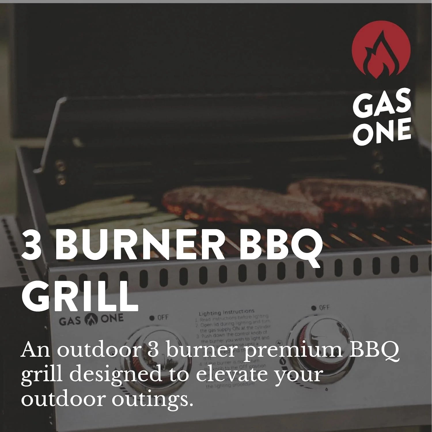 3-Burner Stainless Steel Propane Cabinet Grill with Wheels